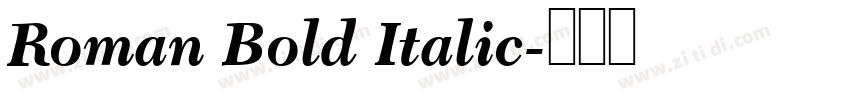 Roman Bold Italic字体转换